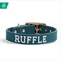 personalized dog collar