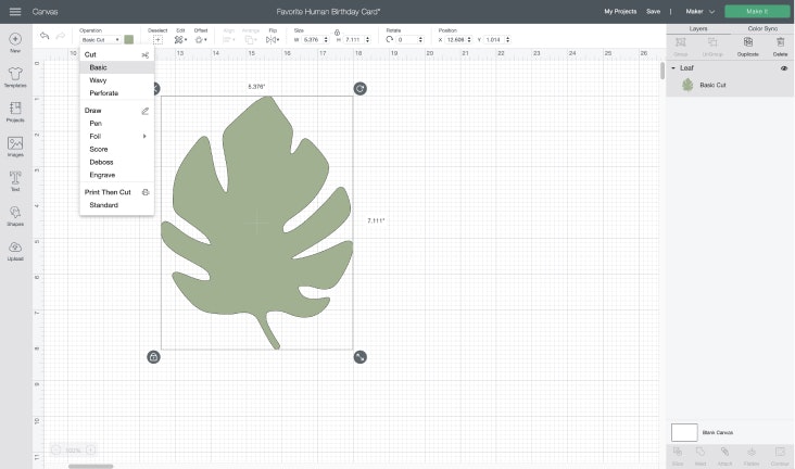 Screenshot showing a palm leaf in the Design Space canvas