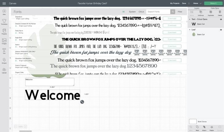 Screenshot showing a selection of Design Space fonts