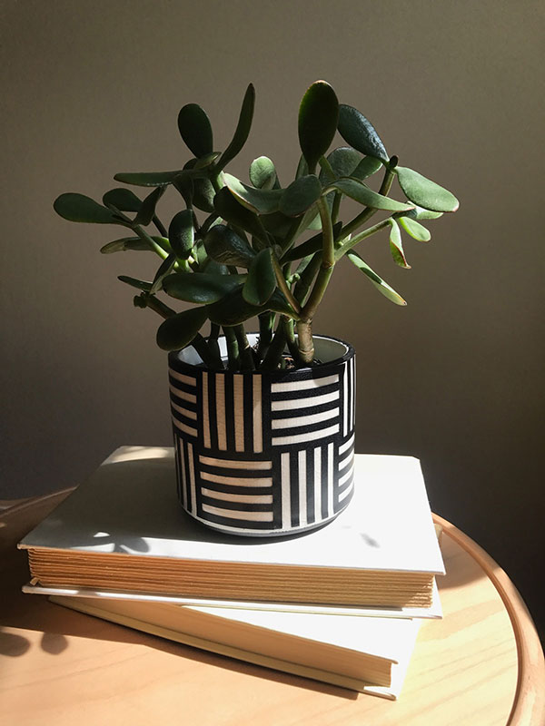 Bring the Outside In! Freshen Up Your Living Space With These Easy Plant Crafts Planting Pot