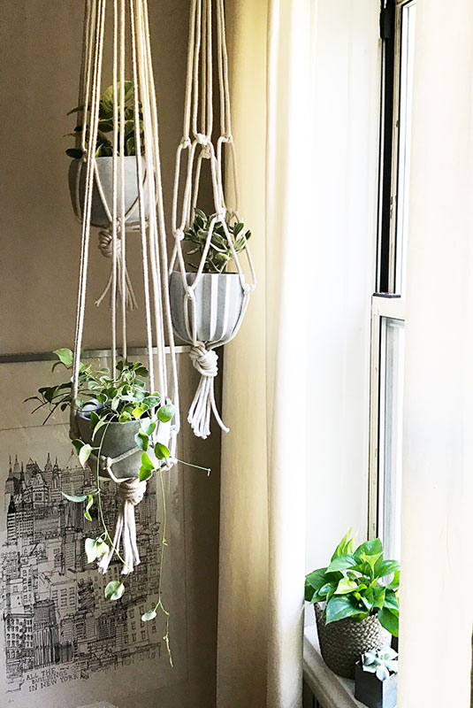 Bring the Outside In! Freshen Up Your Living Space With These Easy Plant Crafts Planting Pot