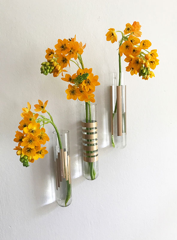 Bring the Outside In! Freshen Up Your Living Space With These Easy Plant Crafts Steps