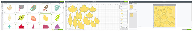 1: Find Leaf Images Find the leaves that you want to use