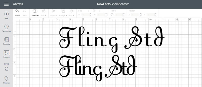 Meet Some of the New Fonts in Cricut Access! Fling Std Font