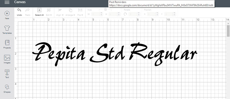 Meet Some of the New Fonts in Cricut Access! Pepita Std Regular Font
