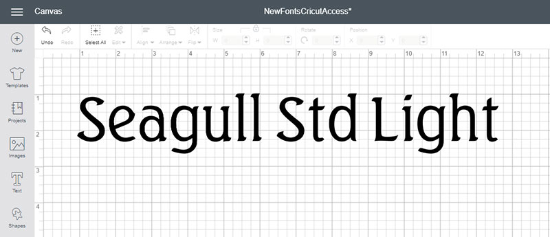 Meet Some of the New Fonts in Cricut Access! Seagull Std Light Font