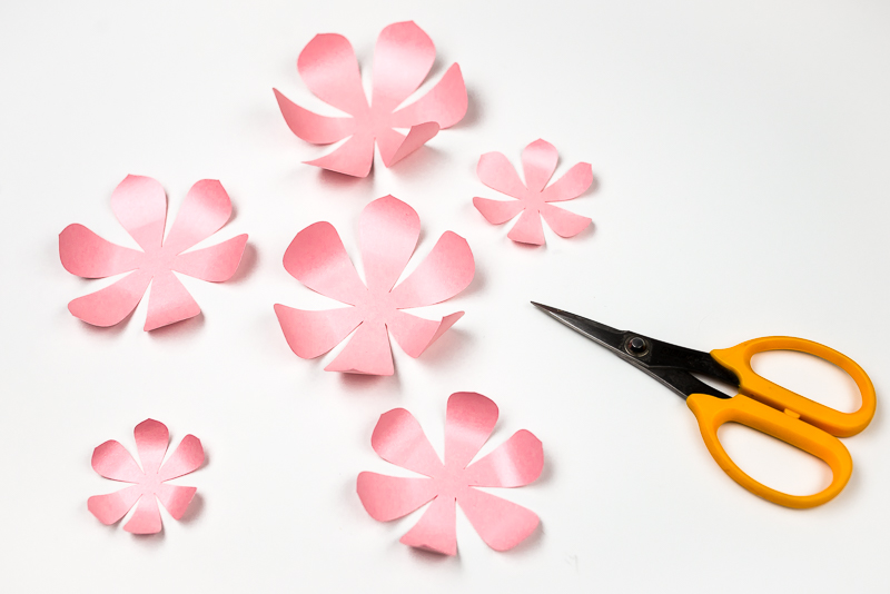 A scissors and images of several layers of a pink paper succulent with curled ends