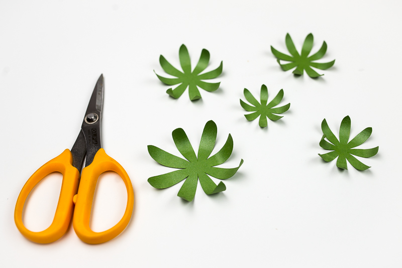 A scissors and images of several layers of a green paper succulent with curled ends