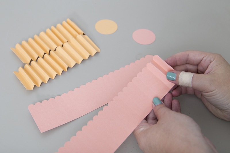 5: Fold Rectangles for Rosettes DIY Rosette Name Tags