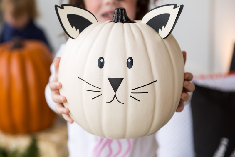 no-carve-pumpkin-idea-cat-pumpkin-cricut