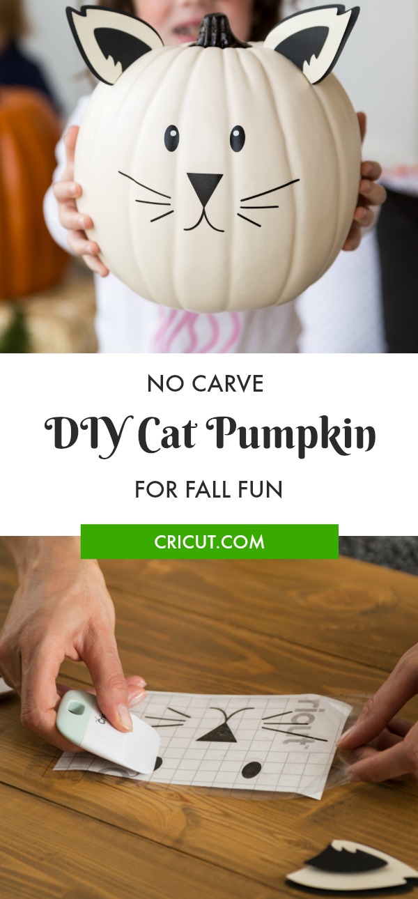 No Carve Pumpkin Idea: Cat Pumpkin No Carve Pumpkin Idea: Cat Pumpkin