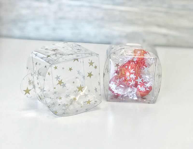 Acetate Box 8 Weeks to DIY Holiday Gift Giving: Boxes