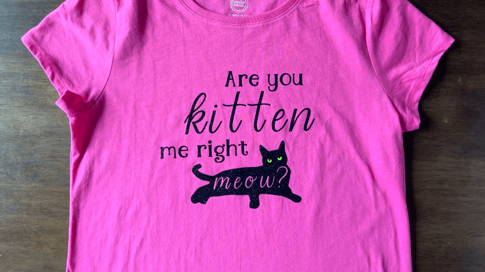 Top 5 funny DIY pet shirts for National Pet Day | Cricut