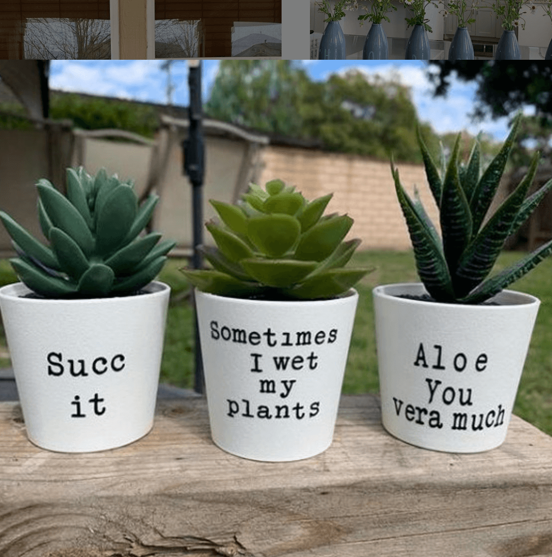 Planter pots with vinyl and funny sayings