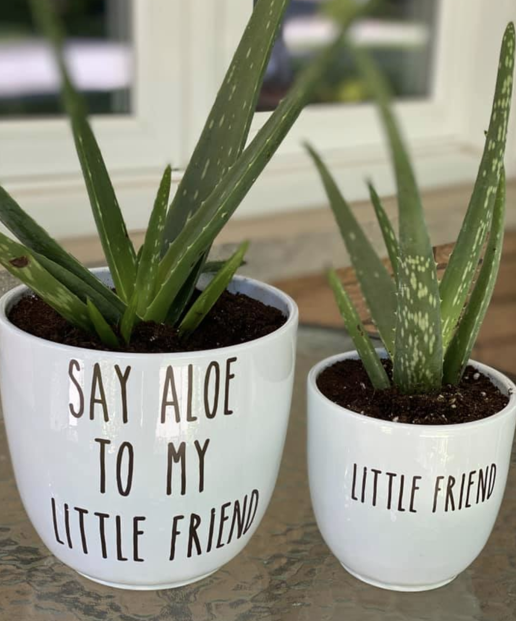 Pots with vinyl phrases